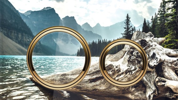 Geberit Sigma 50 actuator plate, round, in a customised design Geberit Sigma 50 actuator plate, round, in a customised design