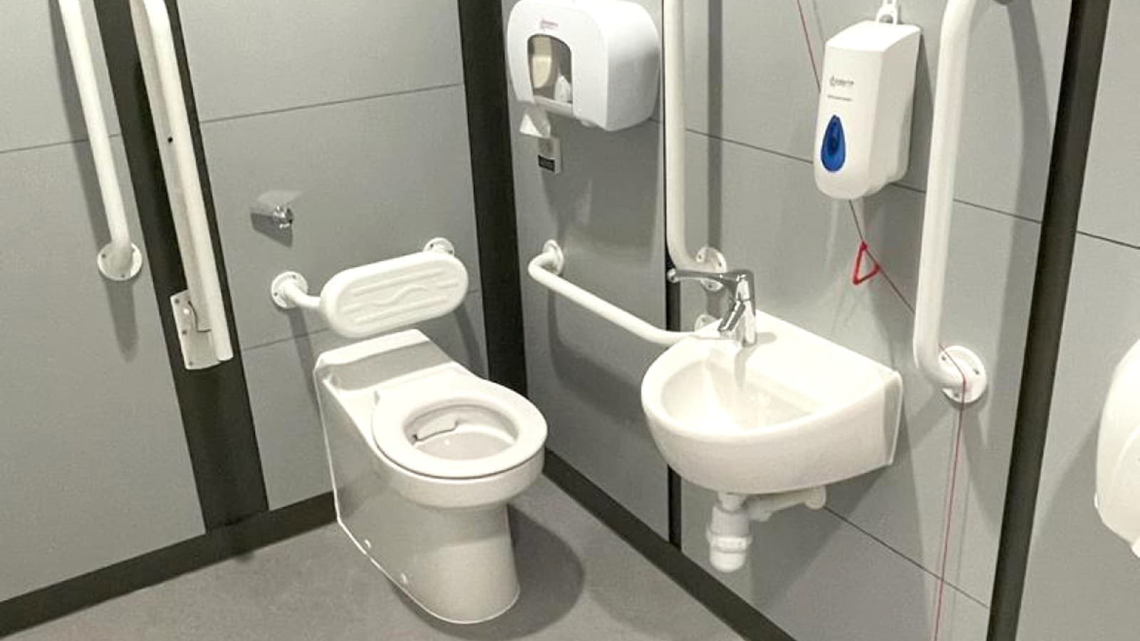 Police Case Study Police Case Study